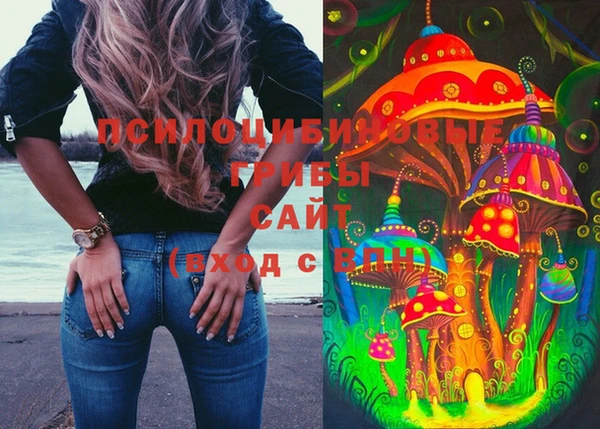 тгк Протвино