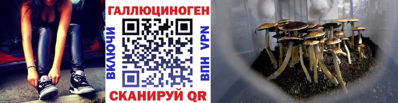 Галлюциногенные грибы Magic Shrooms  Купить  Ядрин 
